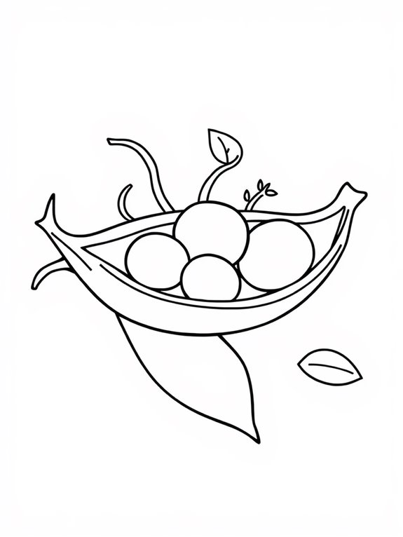peas line art illustration