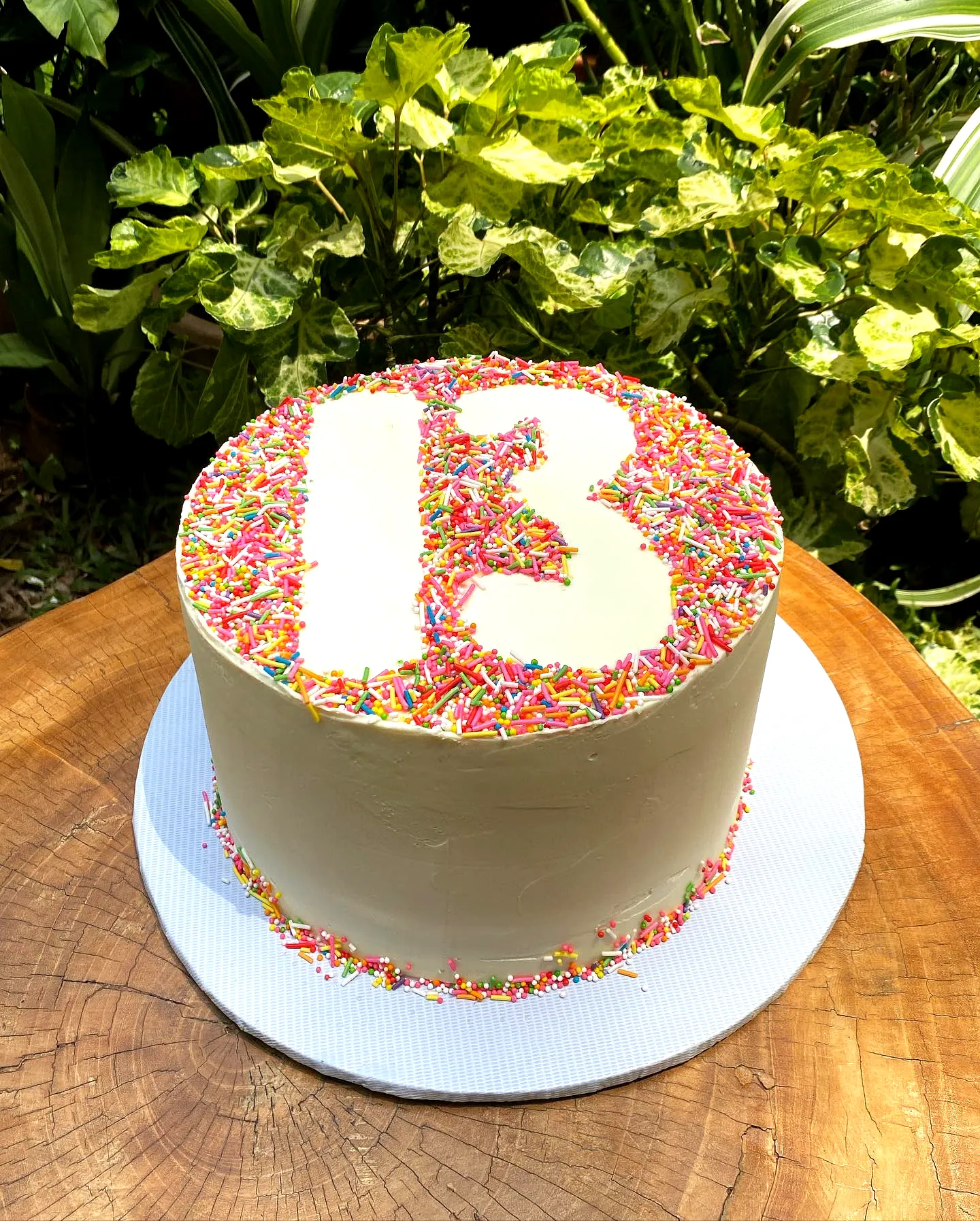 Cute and Colorful 13th Birthday Cake for a Festive Celebration
