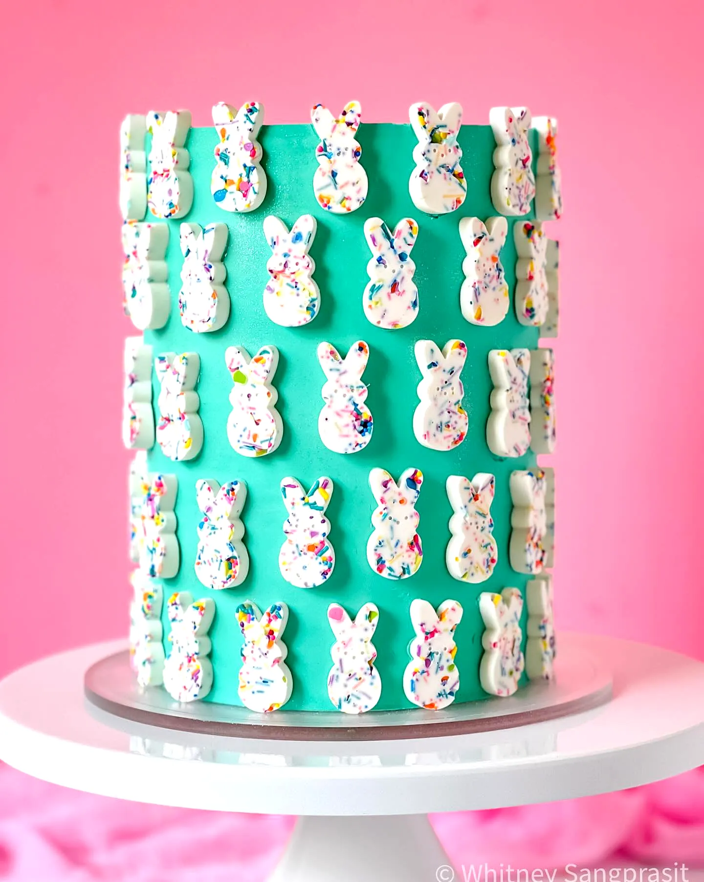 Cute and Colorful Easter Cake Decorating Ideas for a Whimsical Celebration