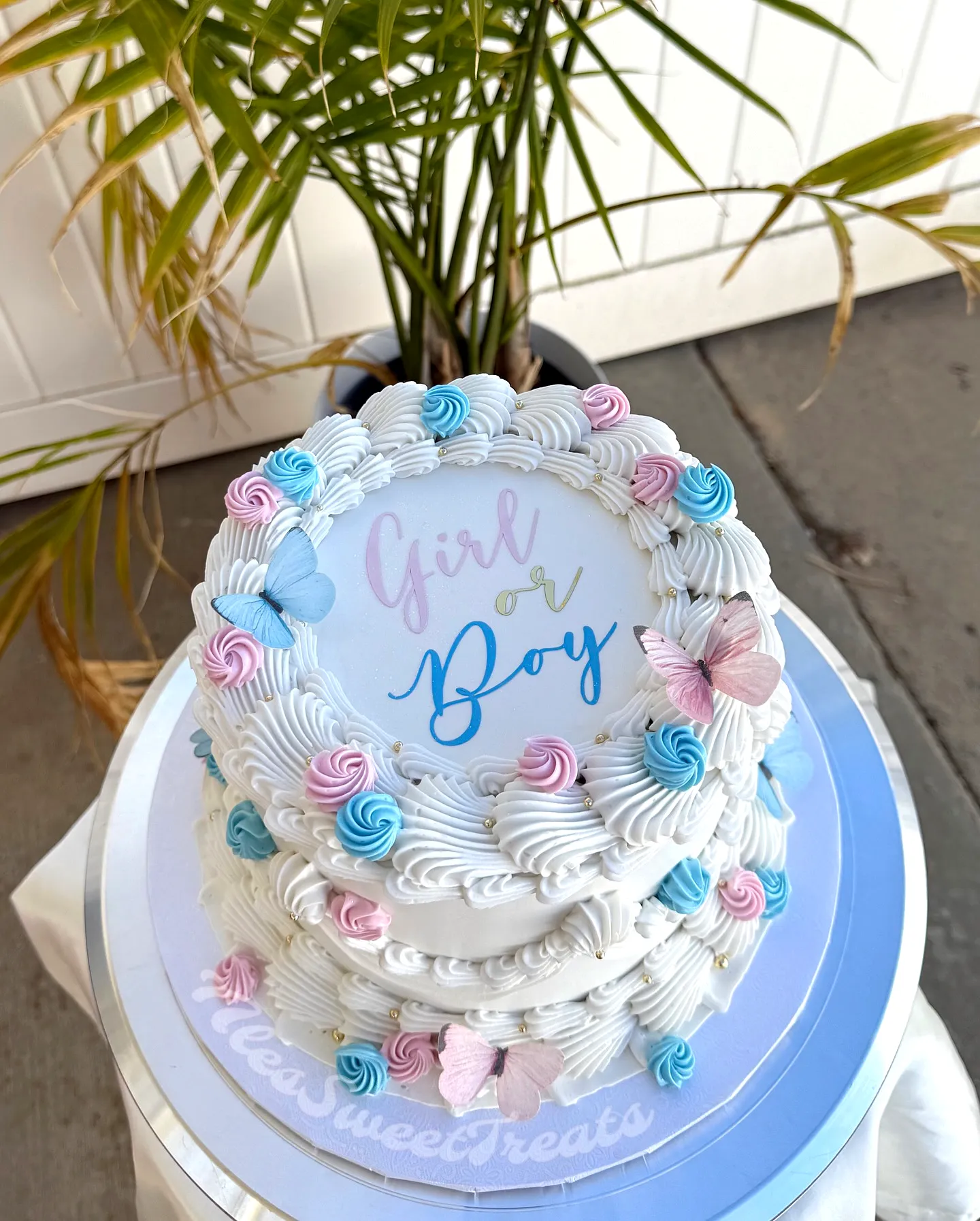 Cute Gender Reveal Cake Design with Pastel Rosettes and Buttercream Butterflies