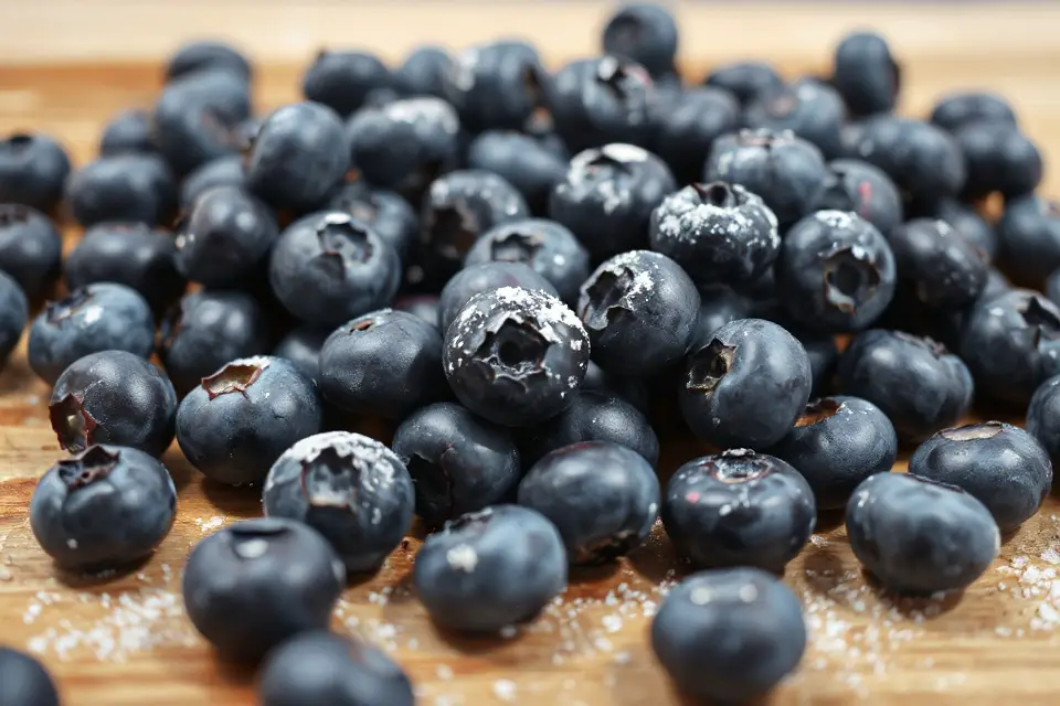 blueberries with sugar dusting