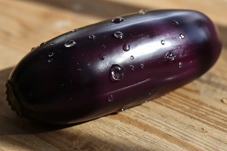 glossy eggplant with droplets