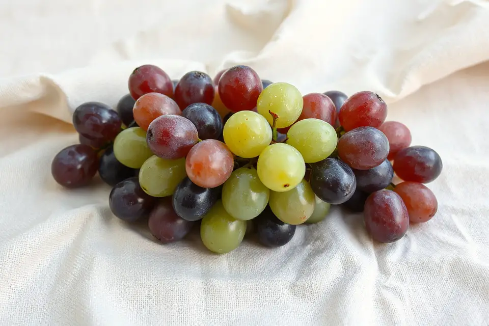 grapes on cotton tablecloth