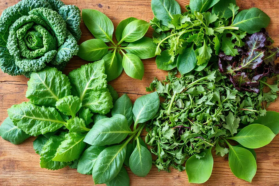 leafy greens wooden table