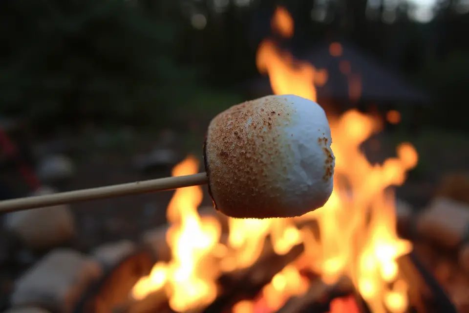marshmallow campfire stock photo