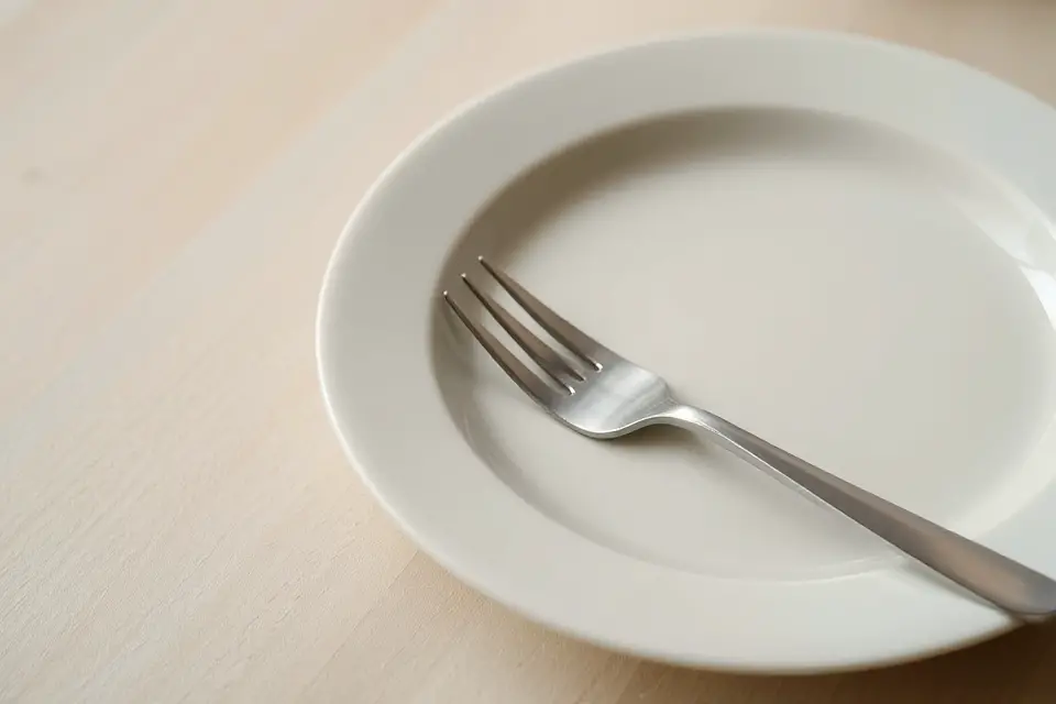 melamine plate and fork