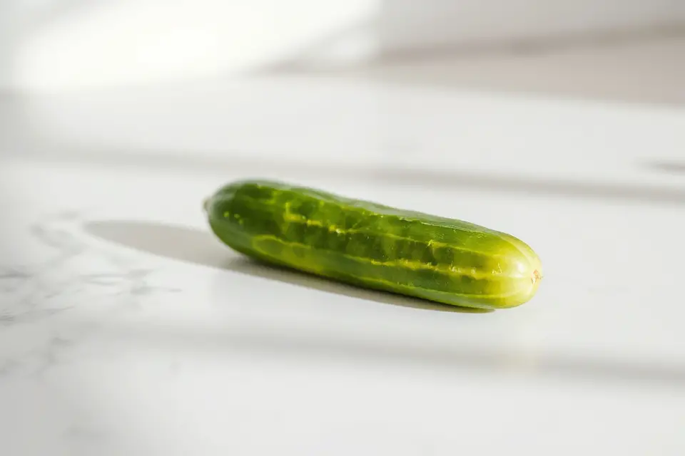 minimalist cucumber stock photo