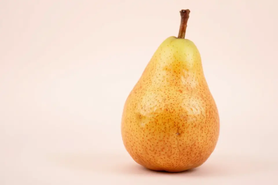 pear photo with pastel background