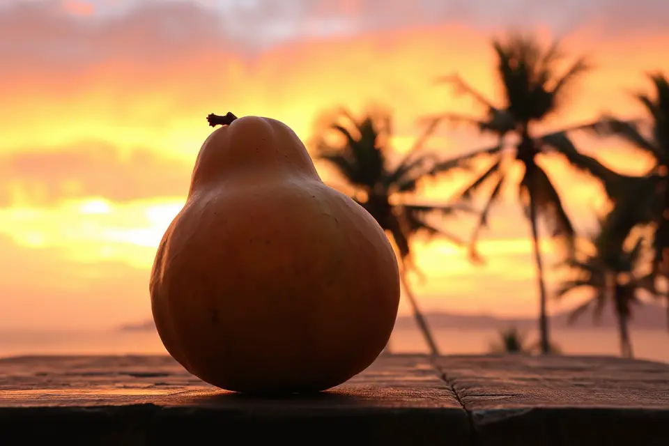 ripe papaya sunset backdrop