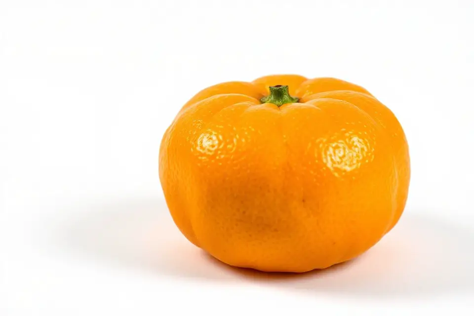vibrant clementine on white