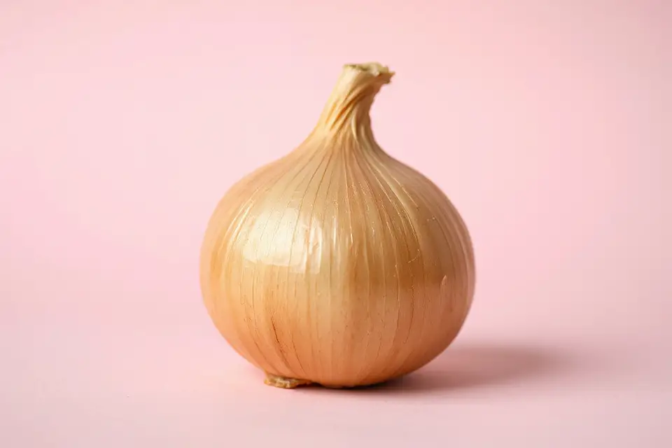 vibrant onion pastel background